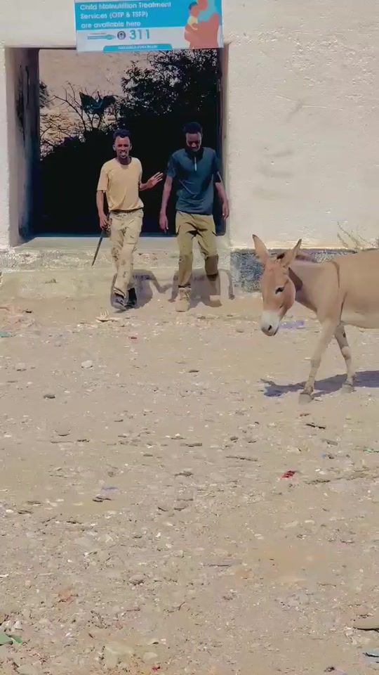 TikTok video thumbnail by mohamed_nuur5