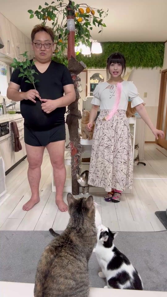 TikTok video thumbnail by mofumofu.tv