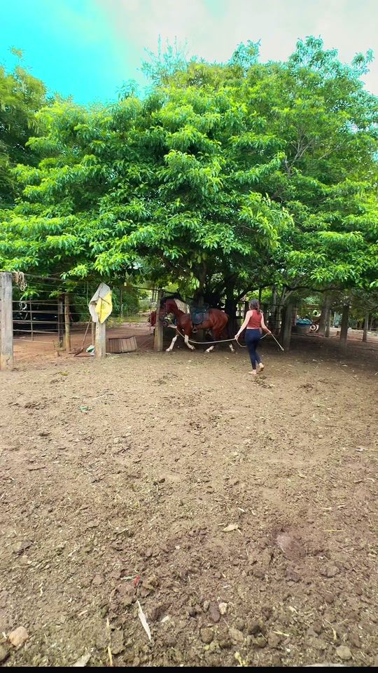 TikTok video thumbnail by luana_tropa