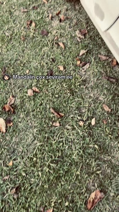 TikTok video thumbnail by asif_mmmdov_007