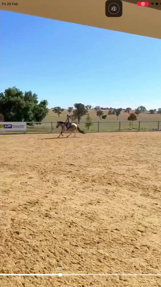 TikTok video thumbnail by audreyandbenny