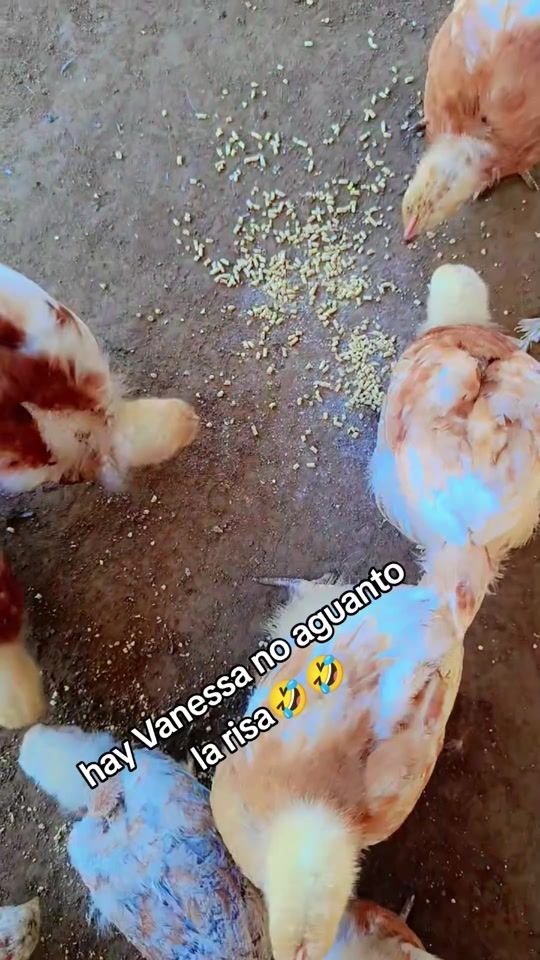 TikTok video thumbnail by patito766