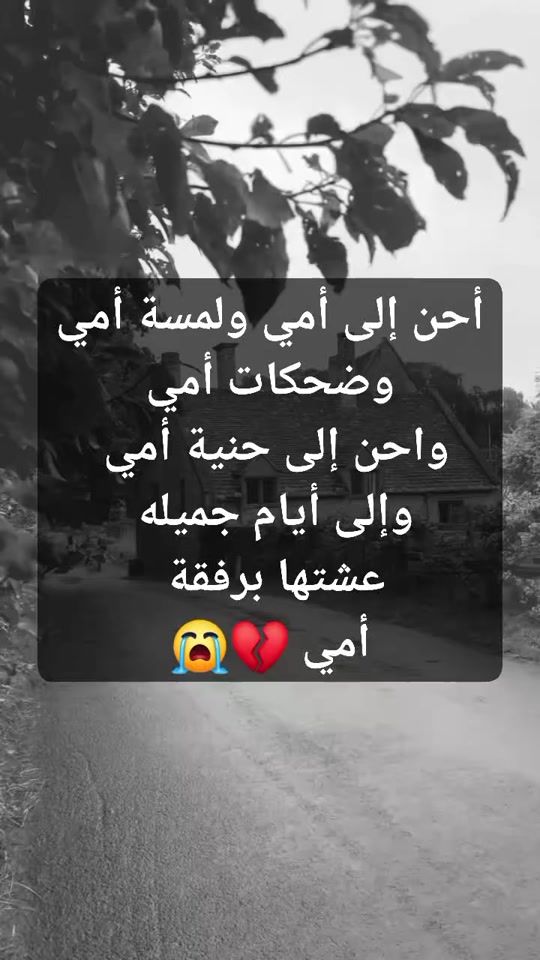 TikTok video thumbnail by khaledsalih17