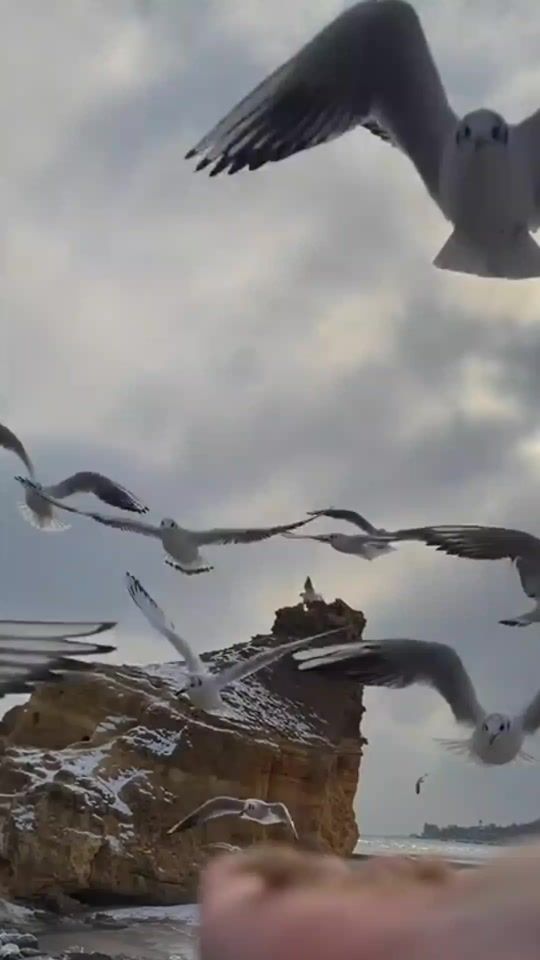 TikTok video thumbnail by chynar.garagulova