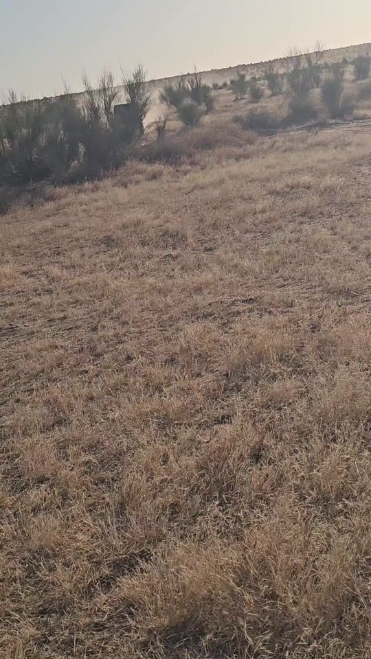 TikTok video thumbnail by sultan.arnimi1