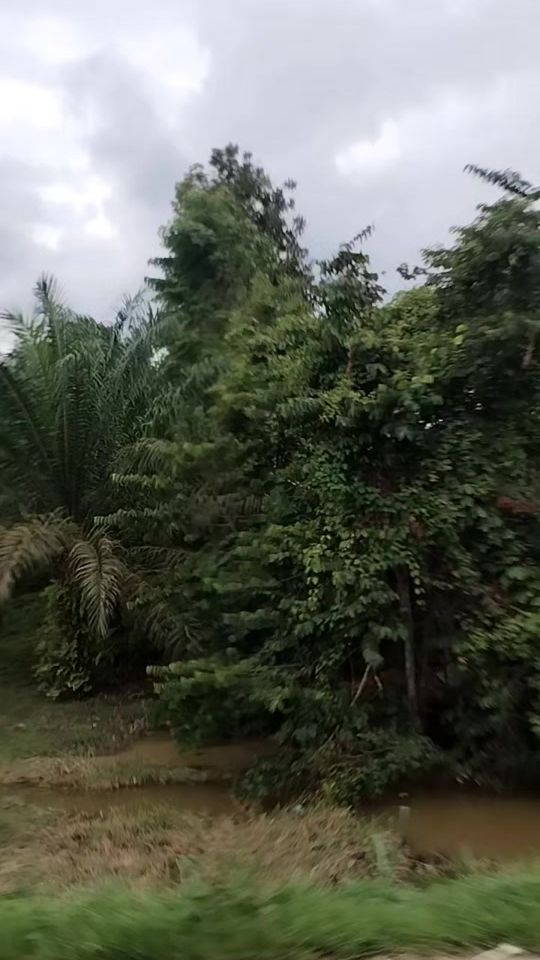 TikTok video thumbnail by yor.mhw