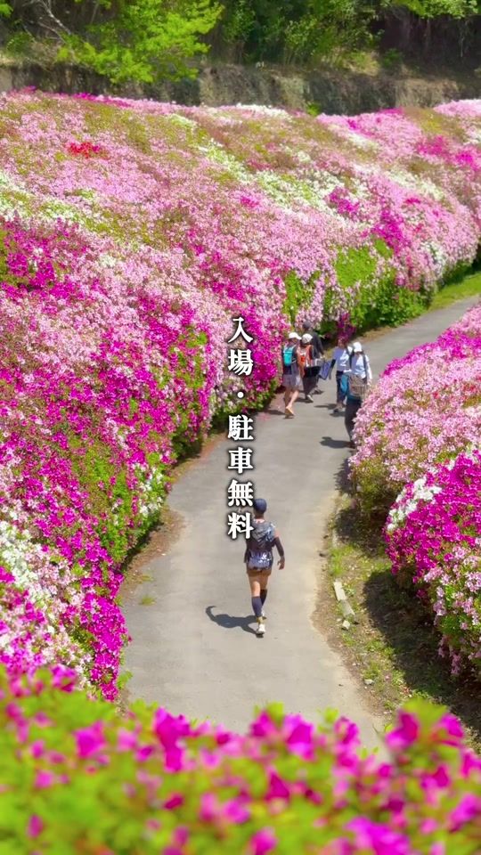 TikTok video thumbnail by ittabi_plus