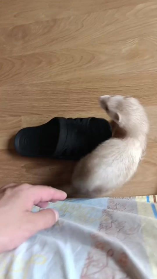 TikTok video thumbnail by oksi.smir