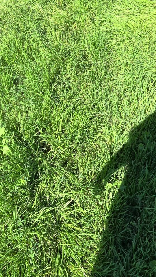 TikTok video thumbnail by itsthatdcchick