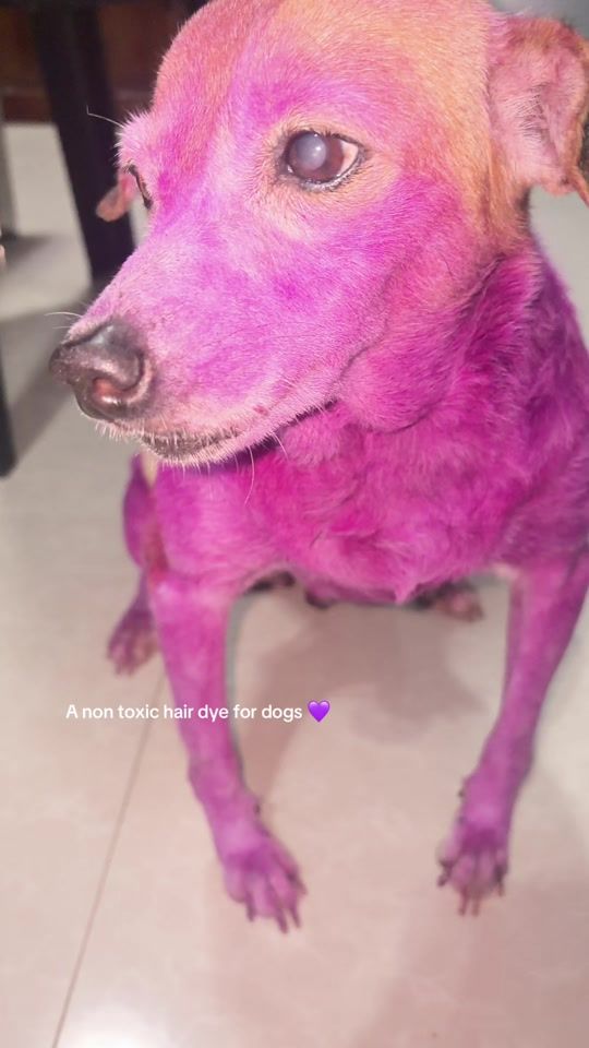 TikTok video thumbnail by willowsummer27