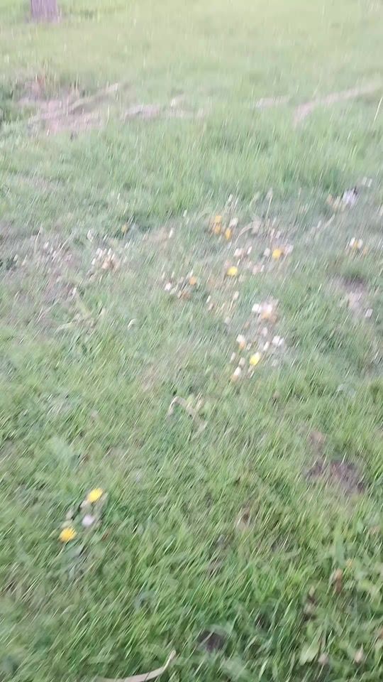 TikTok video thumbnail by hatice_42_hatice