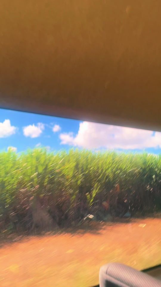TikTok video thumbnail by vibeswithkovila