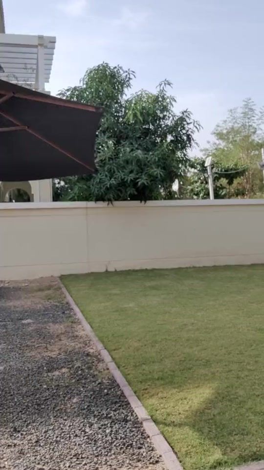 TikTok video thumbnail by suma.bitwire