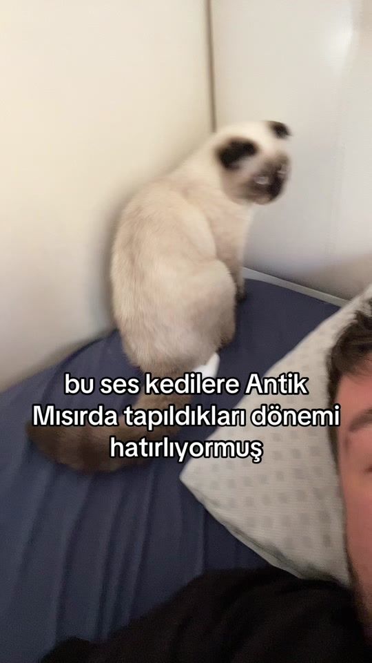 TikTok video thumbnail by rydboii
