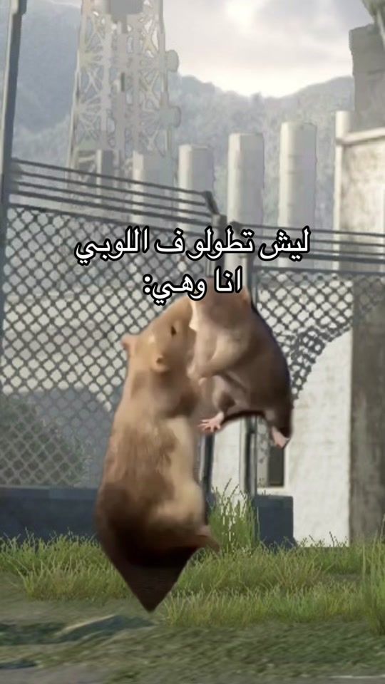 TikTok video thumbnail by cviooi
