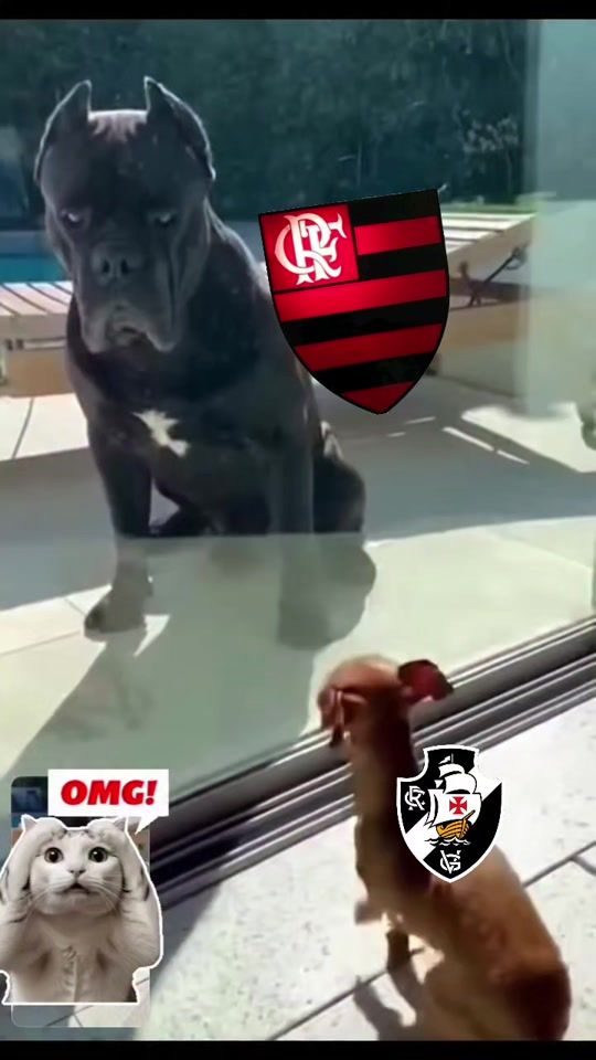 TikTok video thumbnail by fla.manoel.machado