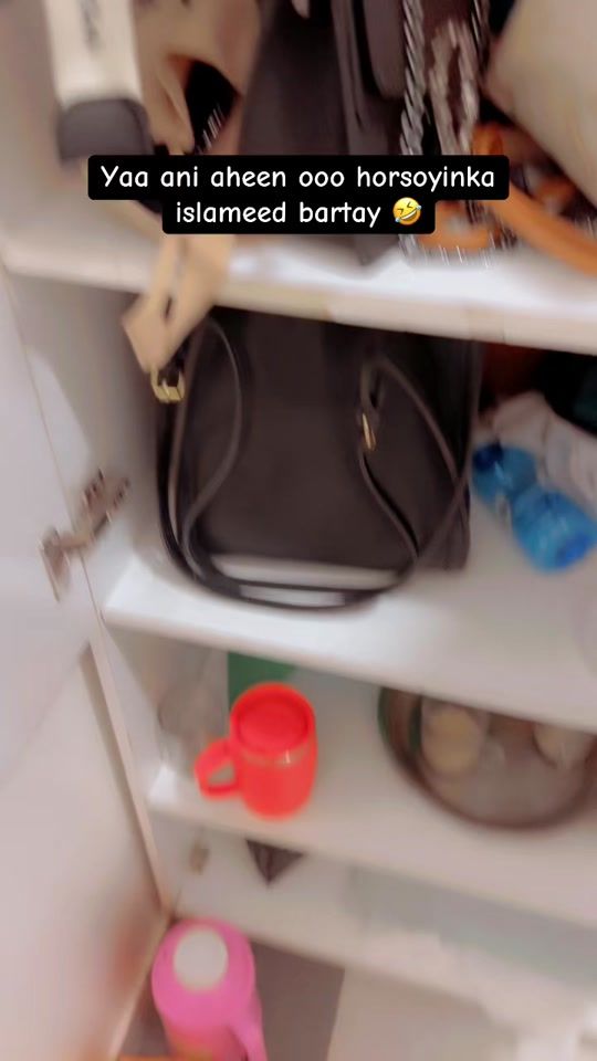 TikTok video thumbnail by iqru.3