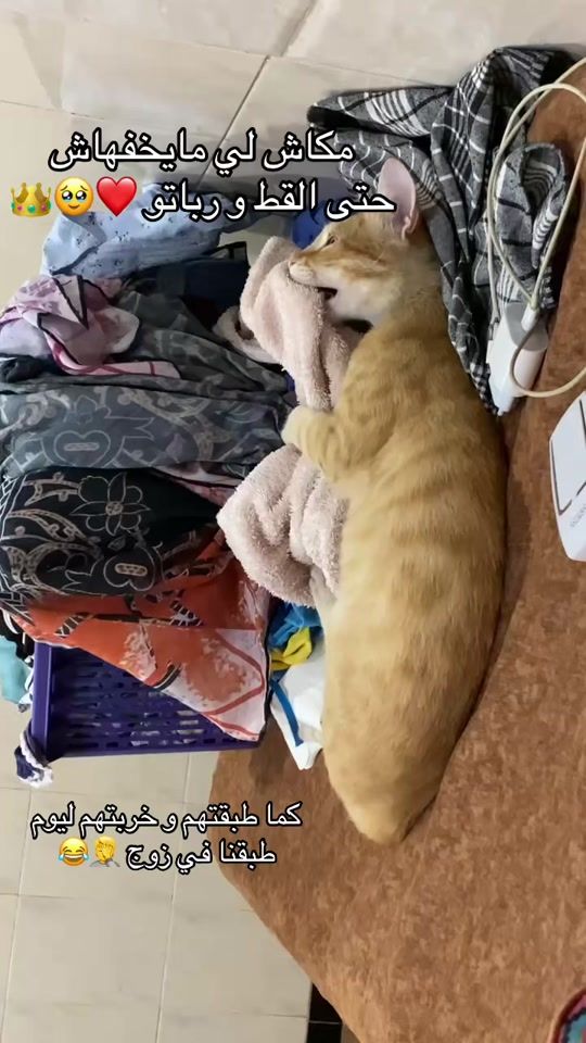 TikTok video thumbnail by ryad_mncr09