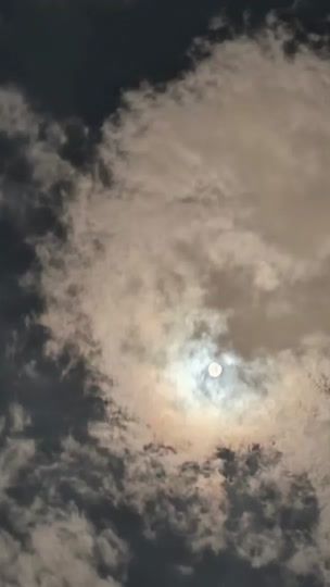 TikTok video thumbnail by 0oi0i