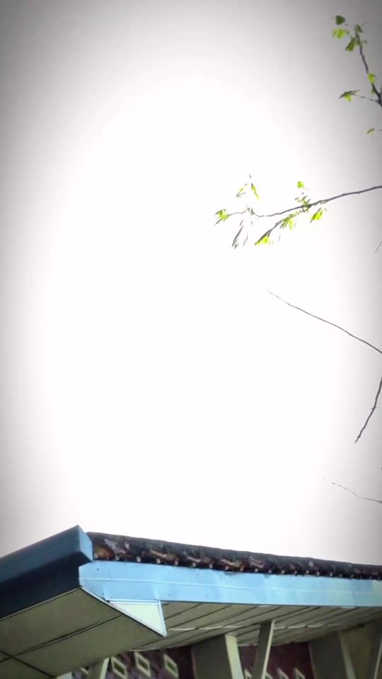TikTok video thumbnail by kompanur_kompan