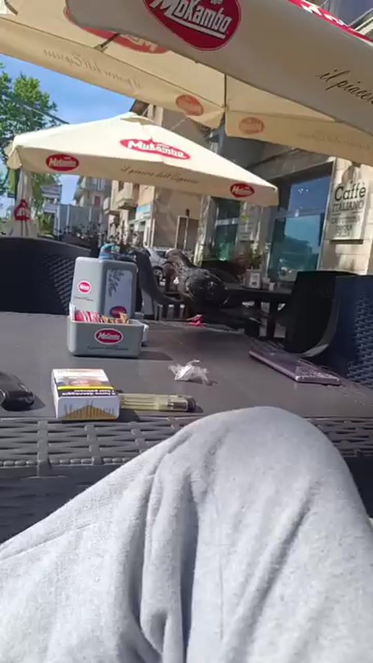 TikTok video thumbnail by servis.lorenzo.1