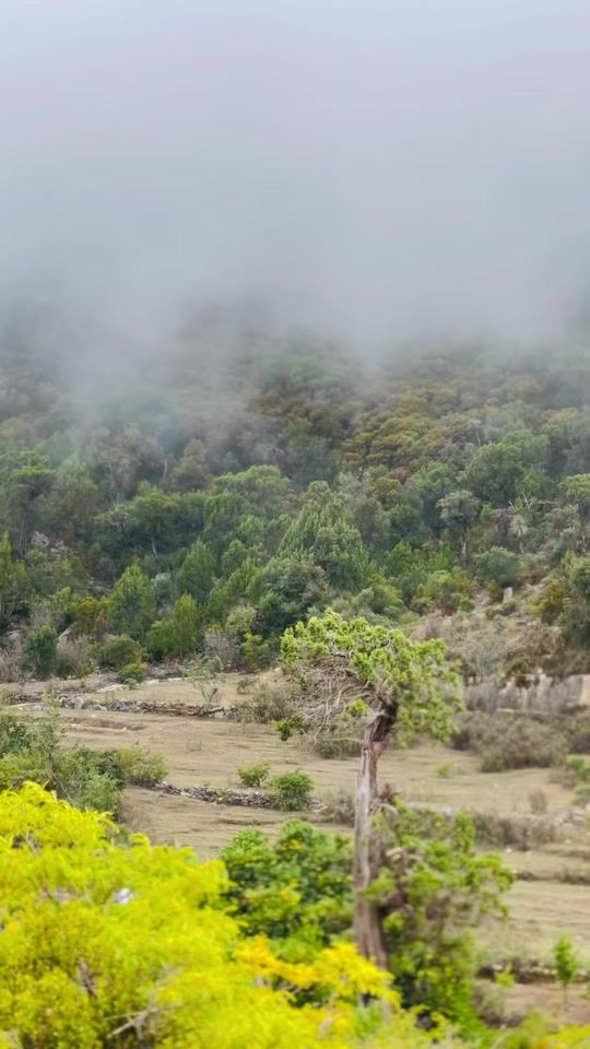 TikTok video thumbnail by socdaaltourism01