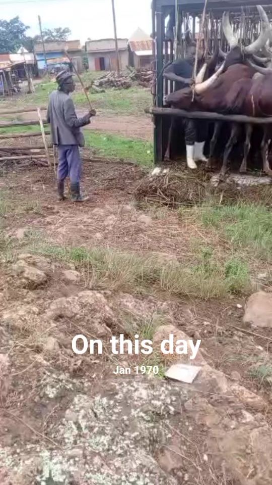 TikTok video thumbnail by captkizito0