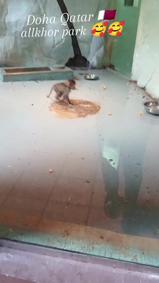 TikTok video thumbnail by urmila.tharu90