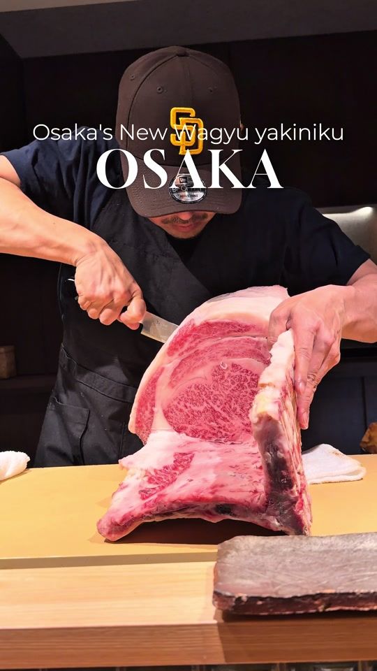 TikTok video thumbnail by wagyu_journal