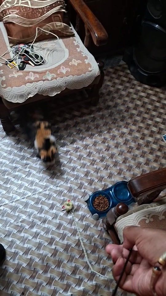 TikTok video thumbnail by mr_rigolo_2k26