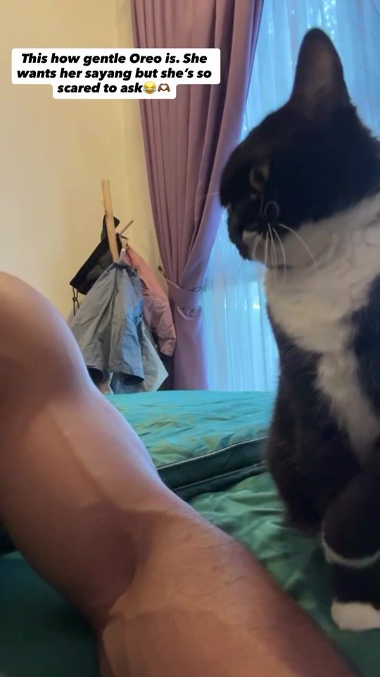 TikTok video thumbnail by narresh_paramanathan