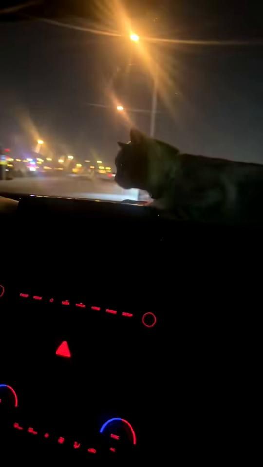TikTok video thumbnail by mexvi__103