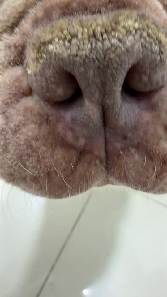 TikTok video thumbnail by titielcolombiano