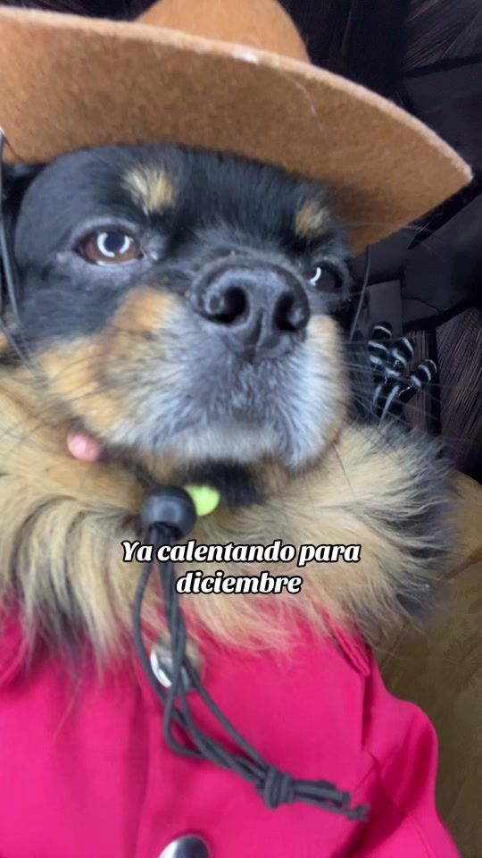 TikTok video thumbnail by luispulgarin1