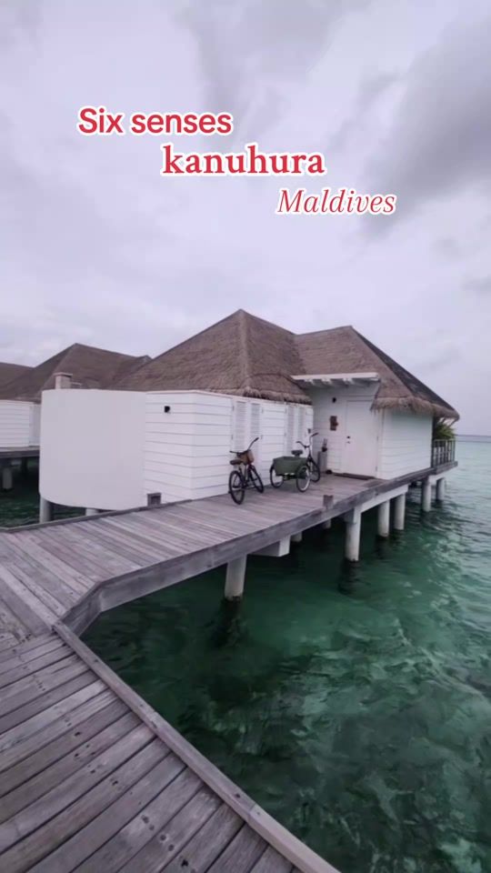 TikTok video thumbnail by moosasaaidh