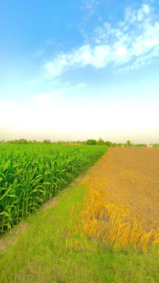TikTok video thumbnail by mubashirvirk75