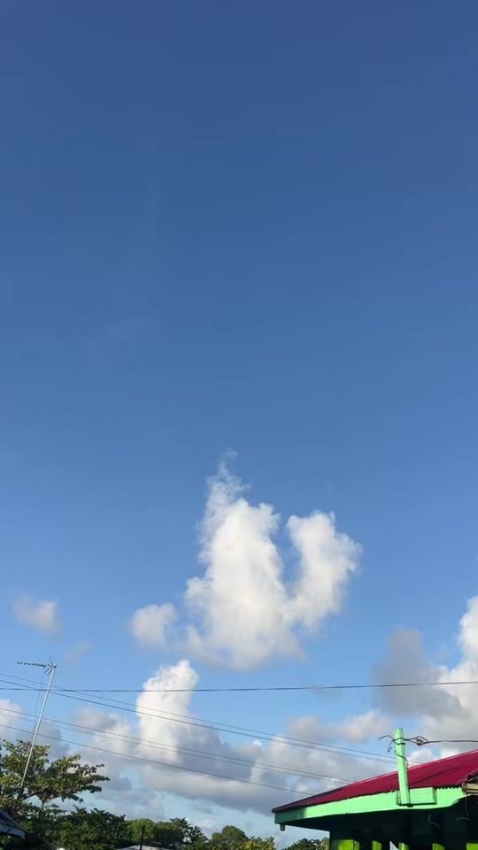 TikTok video thumbnail by ellishah27