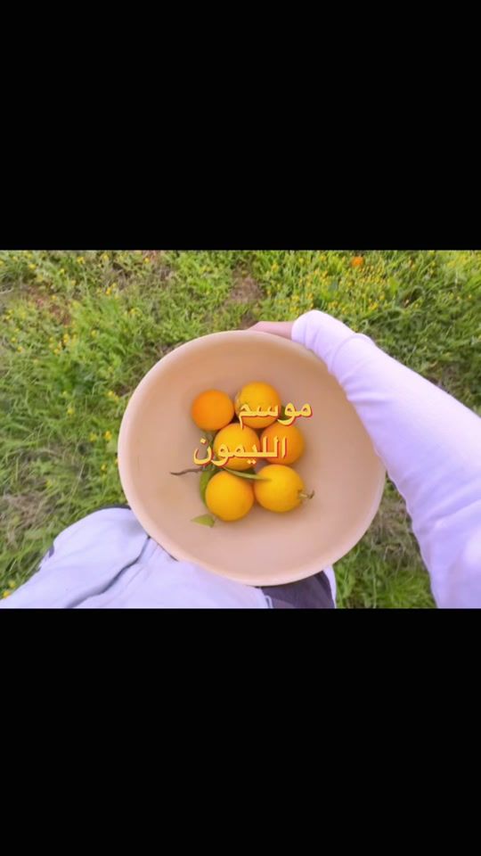 TikTok video thumbnail by soha.abz