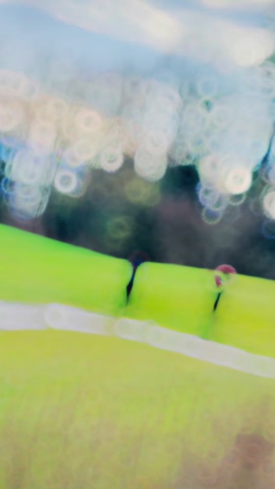 TikTok video thumbnail by shaaficoosman