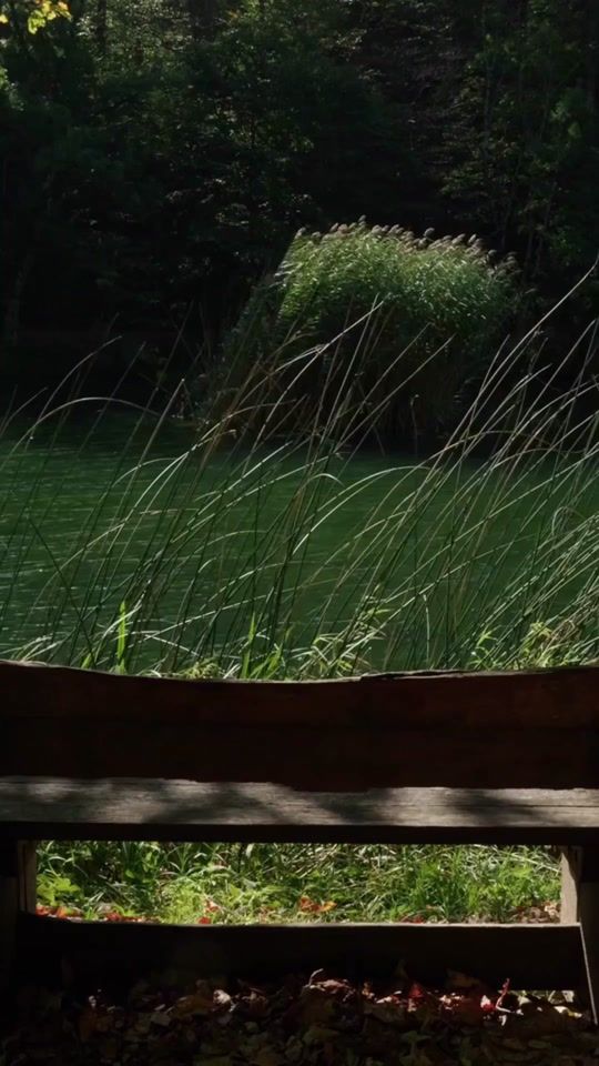TikTok video thumbnail by i.see.you.98