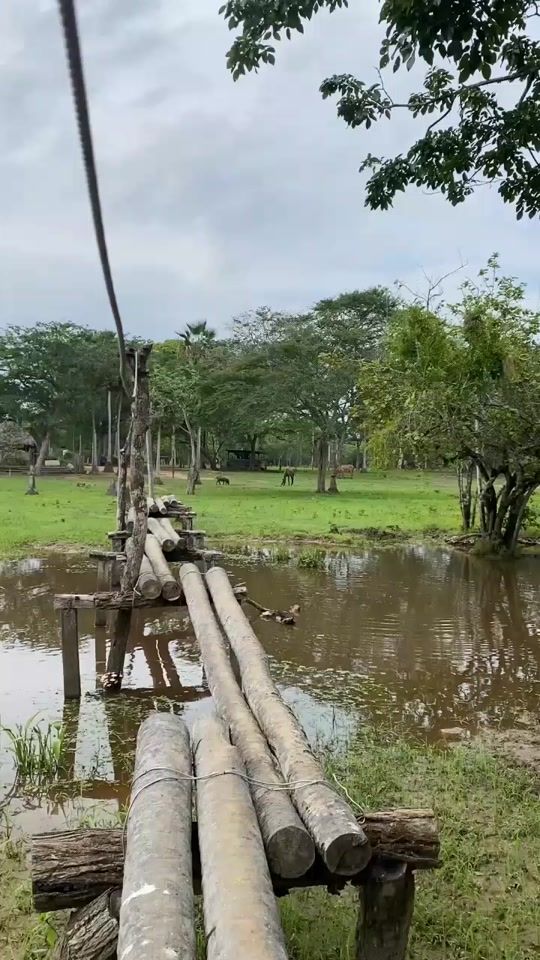 TikTok video thumbnail by rancholaw