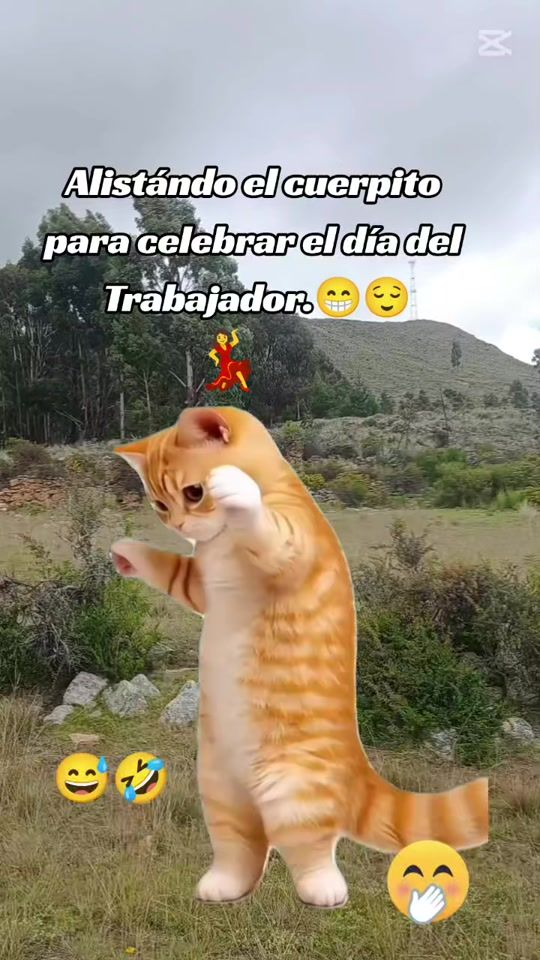 TikTok video thumbnail by ailehon2