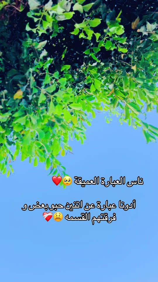 TikTok video thumbnail by .2494634