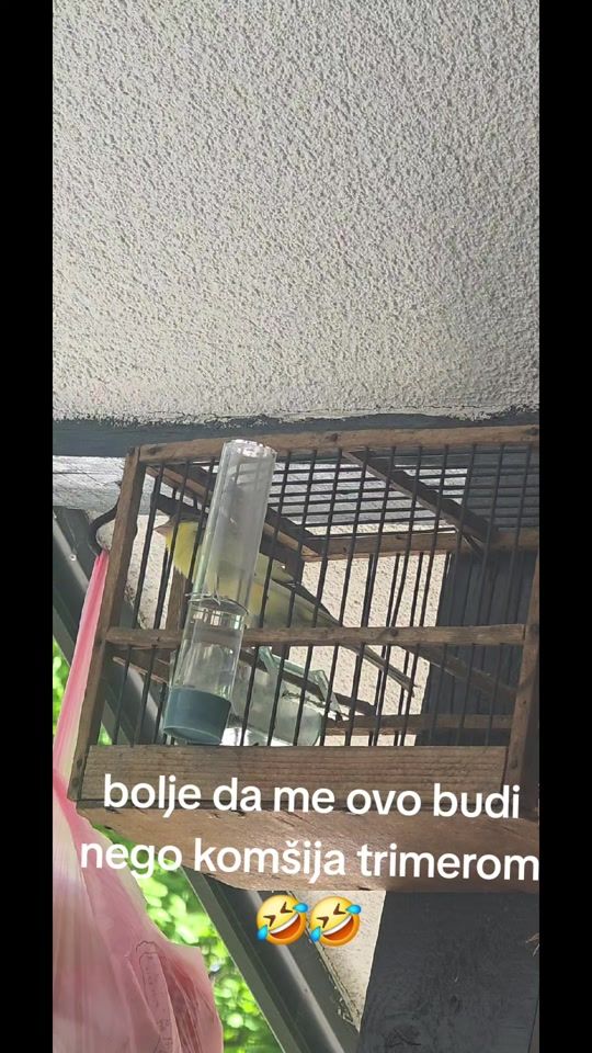 TikTok video thumbnail by ivananikolic35