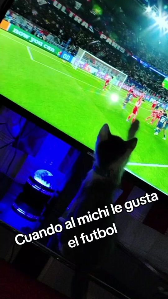 TikTok video thumbnail by erik_rodriguez_1008