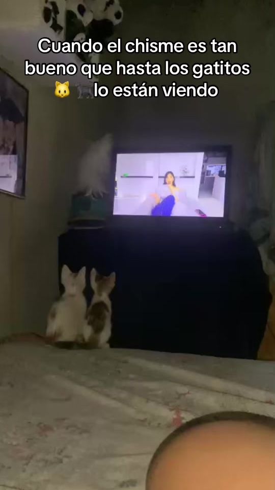 TikTok video thumbnail by yeya.com