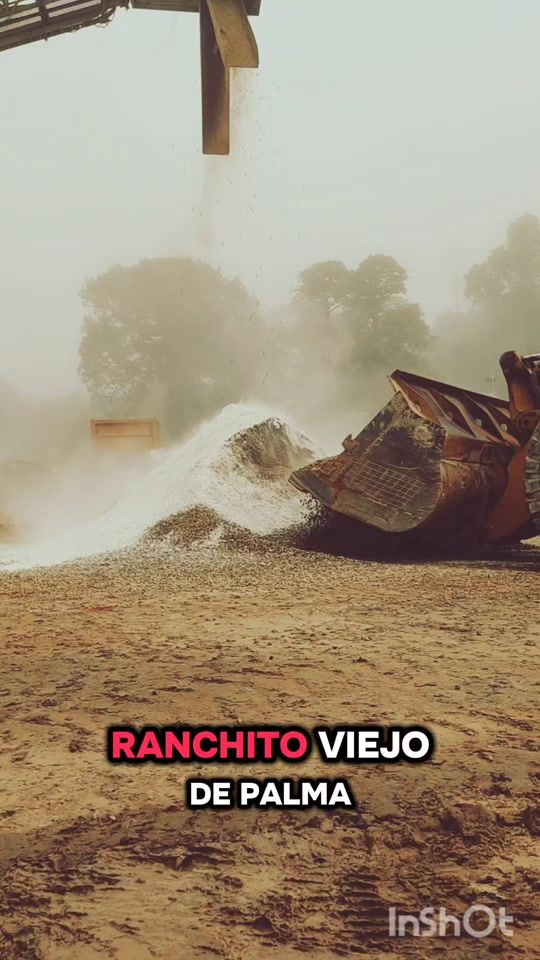 TikTok video thumbnail by benitotenepegmail.com2