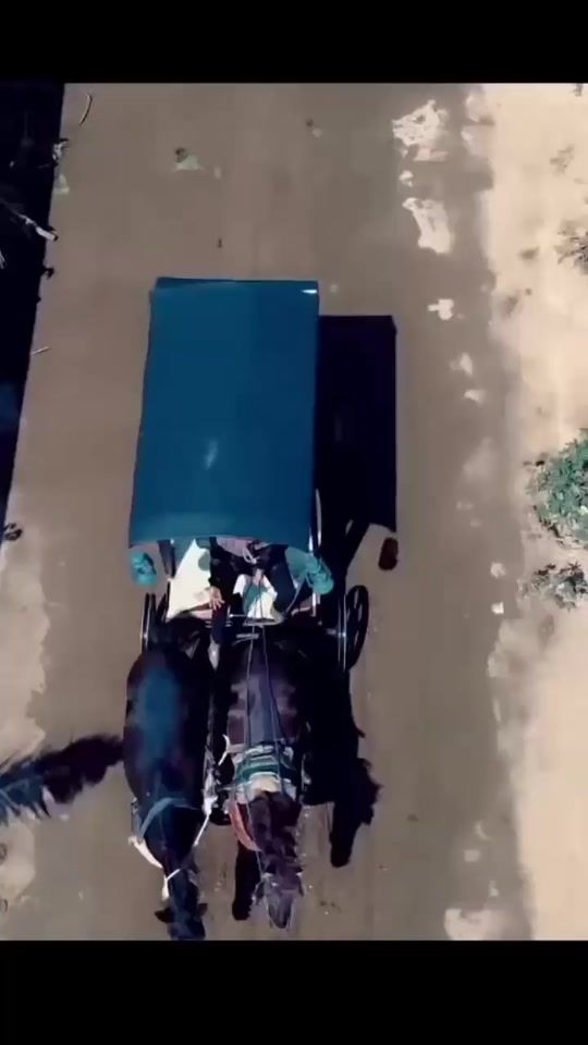 TikTok video thumbnail by shagi.show