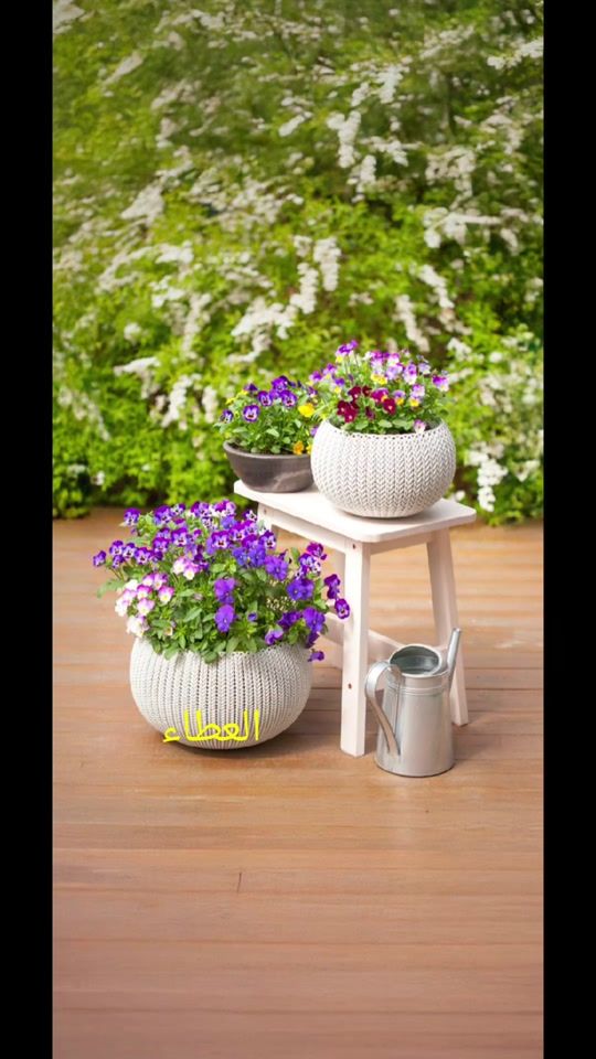 TikTok video thumbnail by malytiger.123