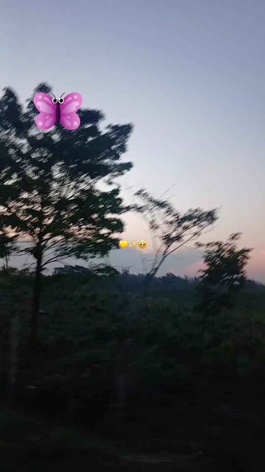 TikTok video thumbnail by blankitalopes2